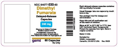 84677-030-60 (Dimethyl Fumarate 240mg REV 0626.jpg)